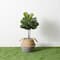 3ft. Artificial Fiddle Leaf Fig Tree With Handmade Cotton & Jute Woven Basket DIY Kit